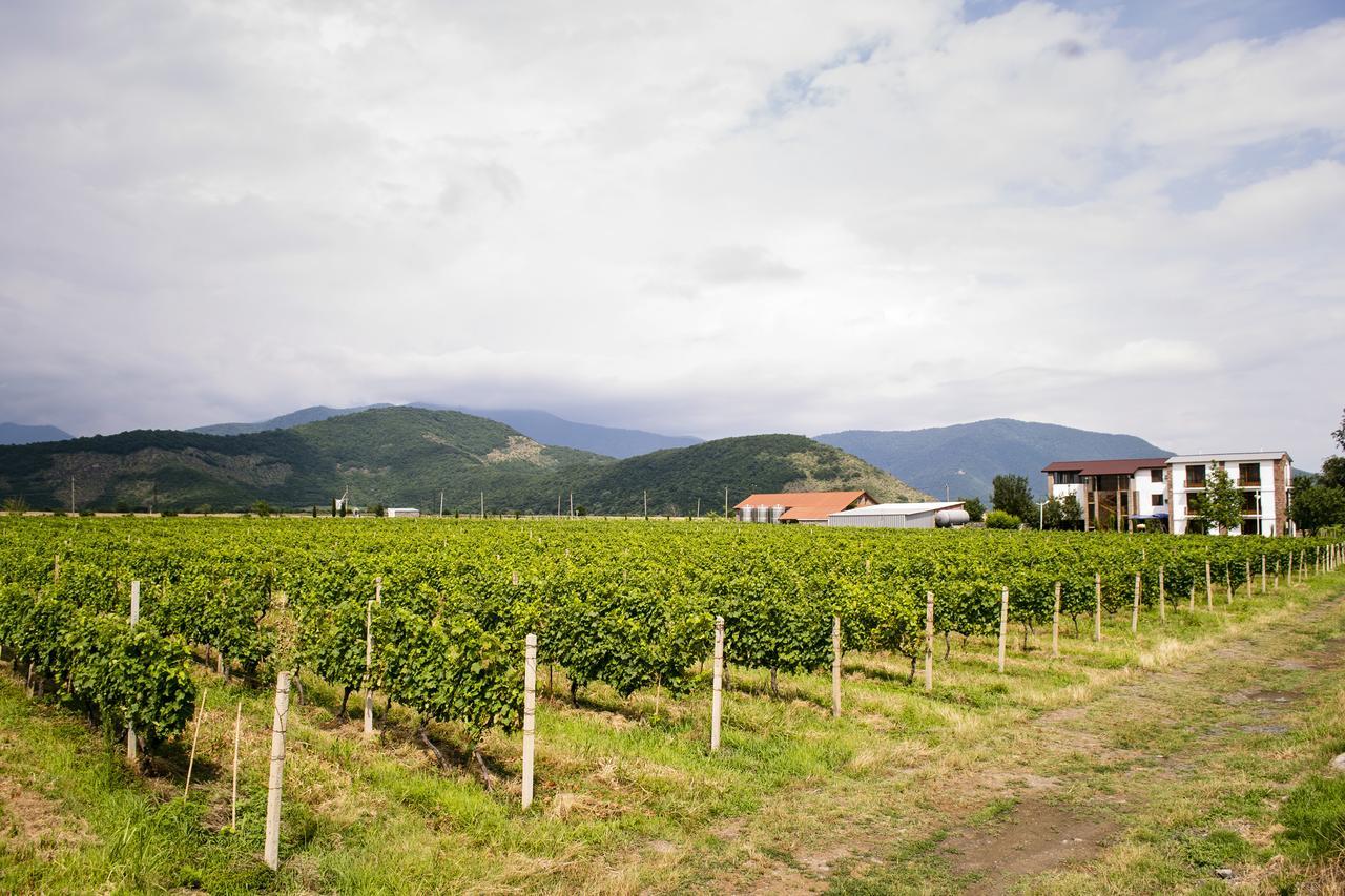 Shaloshvili'S Cellar Hotel Shilda Buitenkant foto