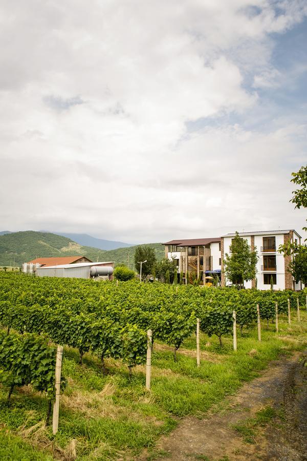 Shaloshvili'S Cellar Hotel Shilda Buitenkant foto