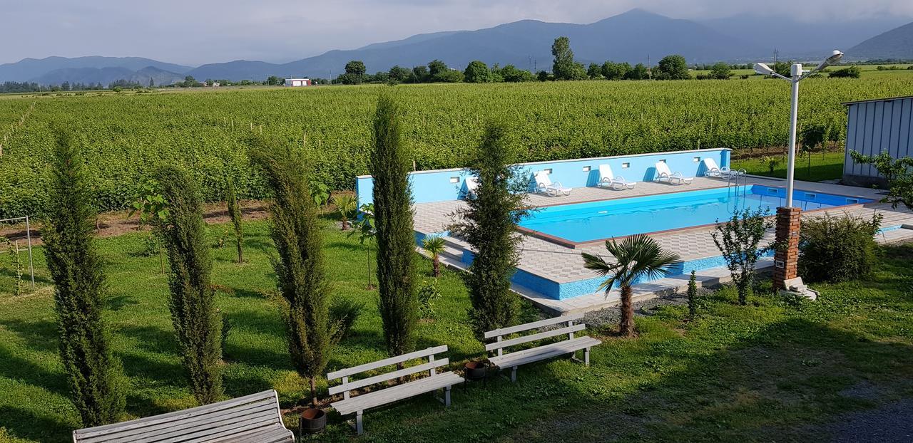 Shaloshvili'S Cellar Hotel Shilda Buitenkant foto